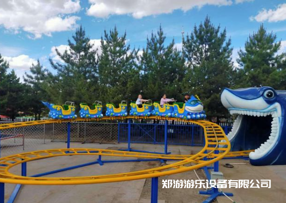 適合主題游樂(lè )園的大型游樂(lè )設備有哪些？